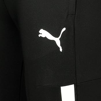 Amazon.com: PUMA mens Teamliga Training Pro Sweatpants, Black